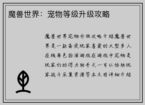 魔兽世界：宠物等级升级攻略